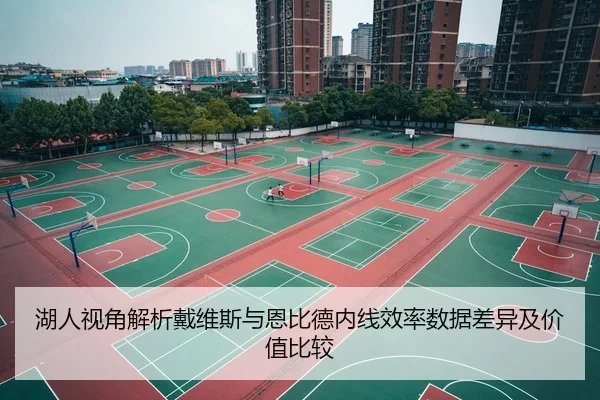 湖人视角解析戴维斯与恩比德内线效率数据差异及价值比较
