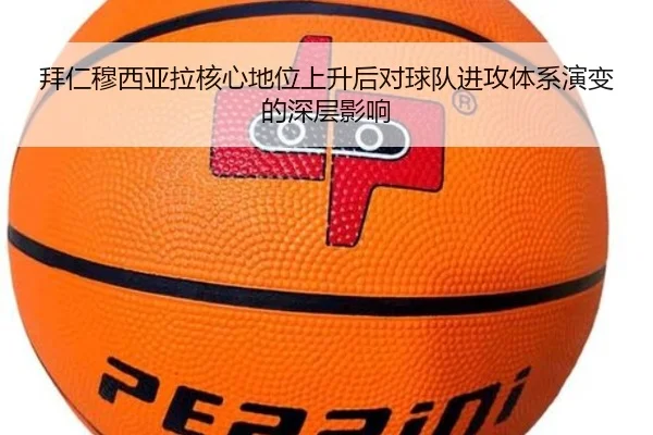 img_1781012043137_1266_1_426.jpg