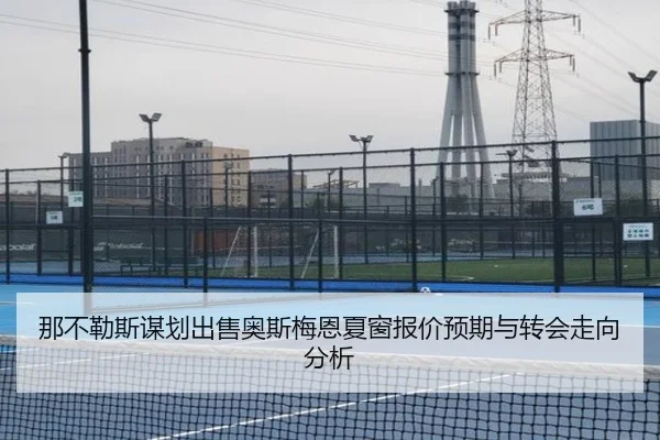 那不勒斯谋划出售奥斯梅恩夏窗报价预期与转会走向分析
