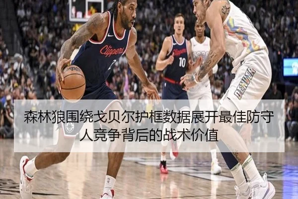 森林狼围绕戈贝尔护框数据展开最佳防守人竞争背后的战术价值